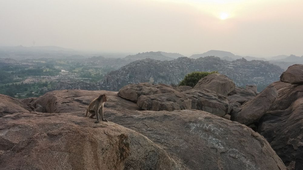 Photograph by Анатолий Румачик