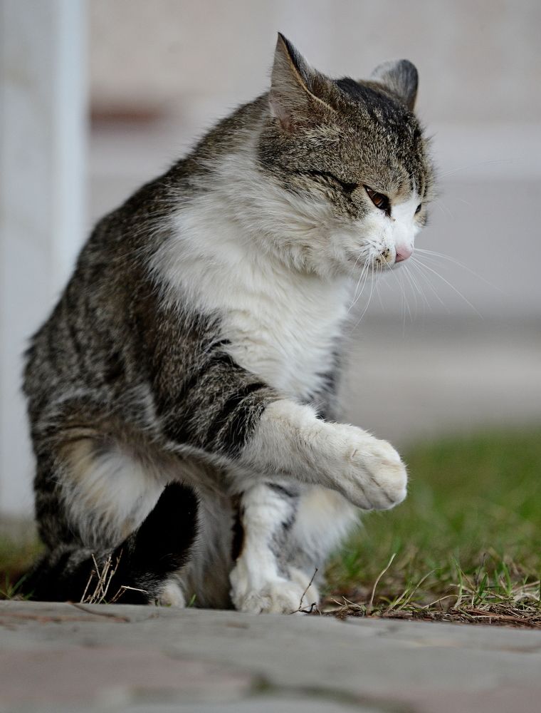 Photograph by Алексей Козлов