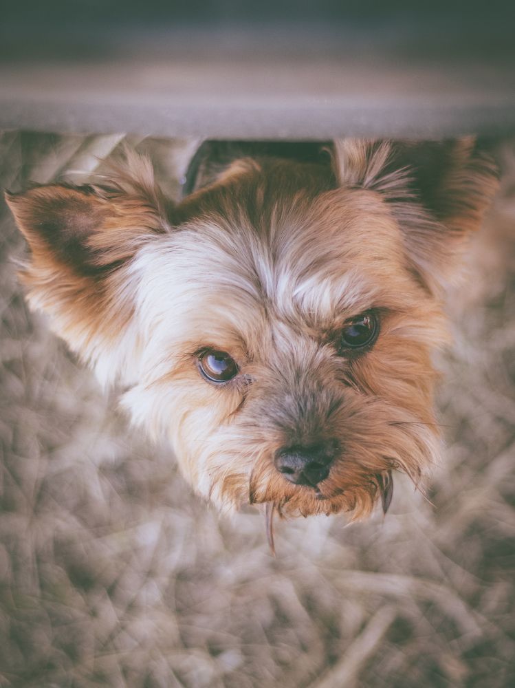 Photograph by Евгений Кузьмин