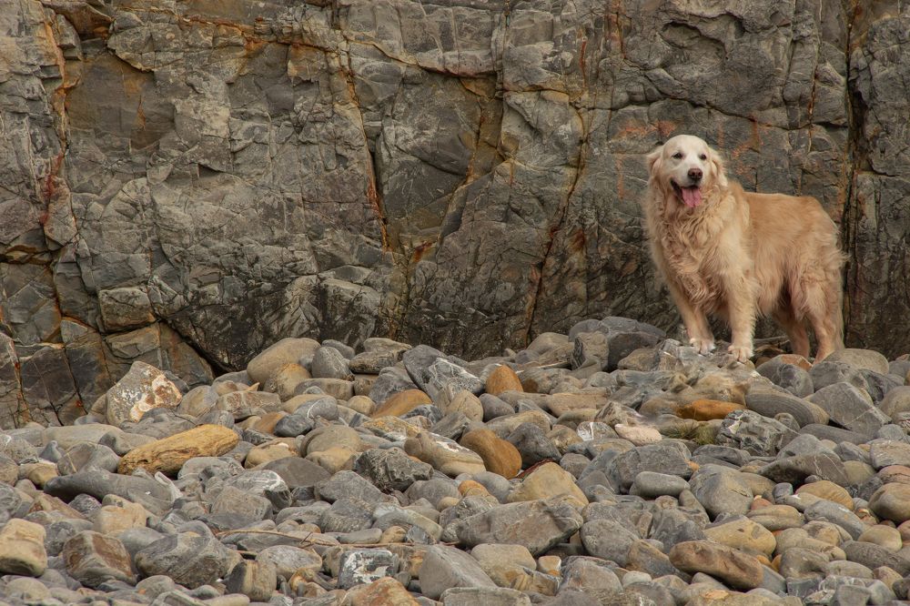 Фотография автора Татьяна Нарайкина