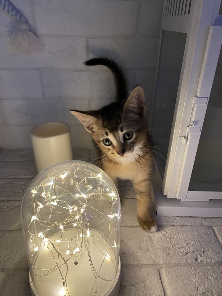 Photograph by Светлана Пронякина