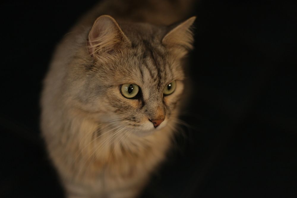 Photograph by Алёна Кладова