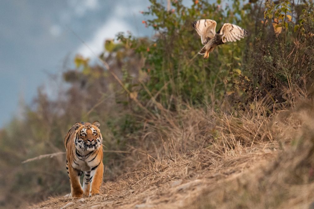 Photograph by Linto John