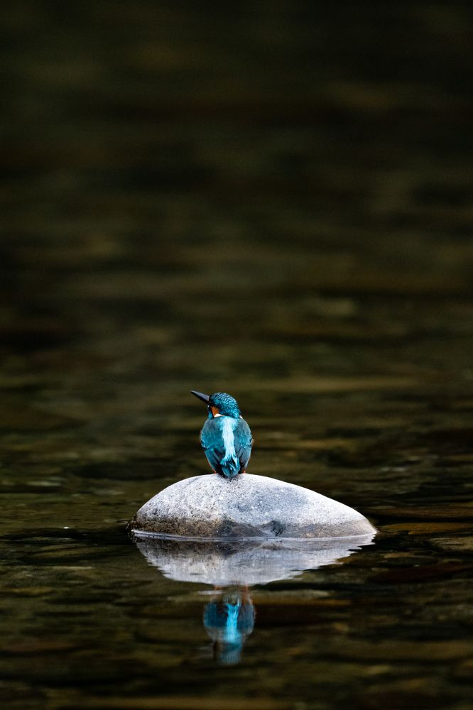 Photograph by Linto John