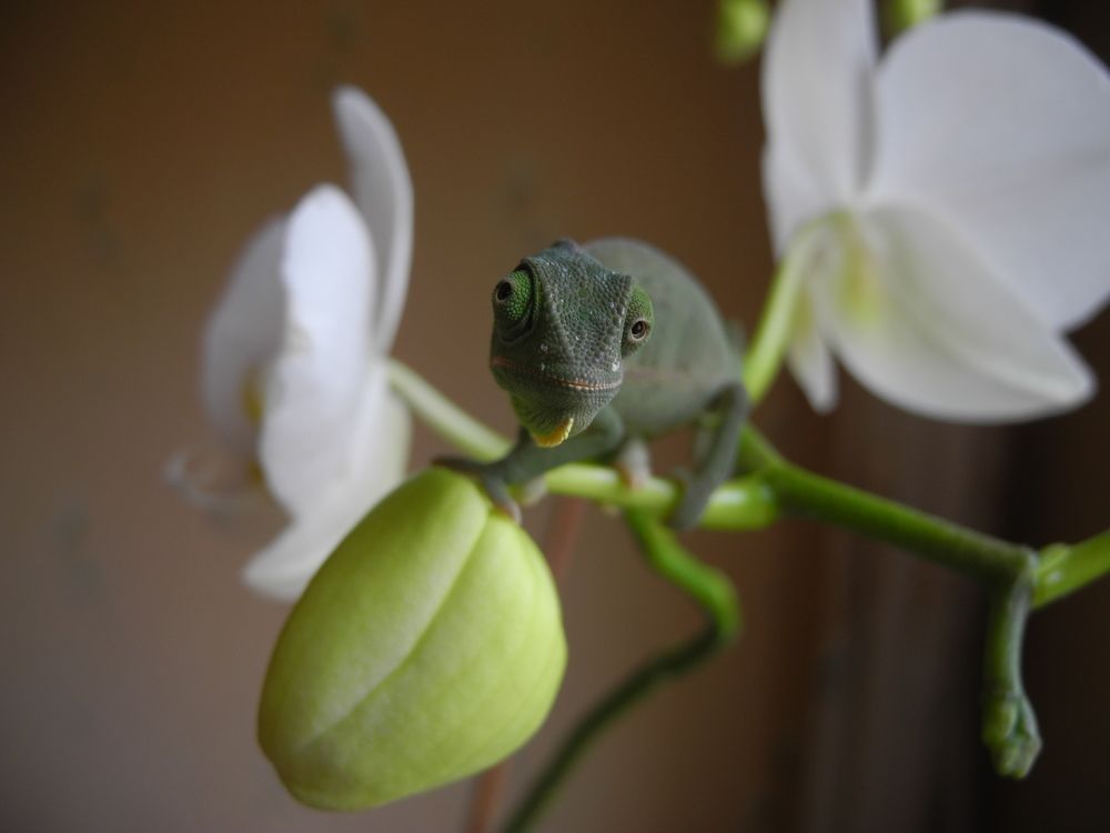 Photograph by Андрей Головин