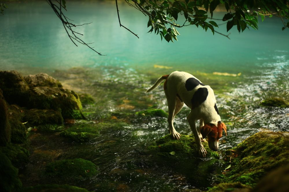 Photograph by Milla Luca