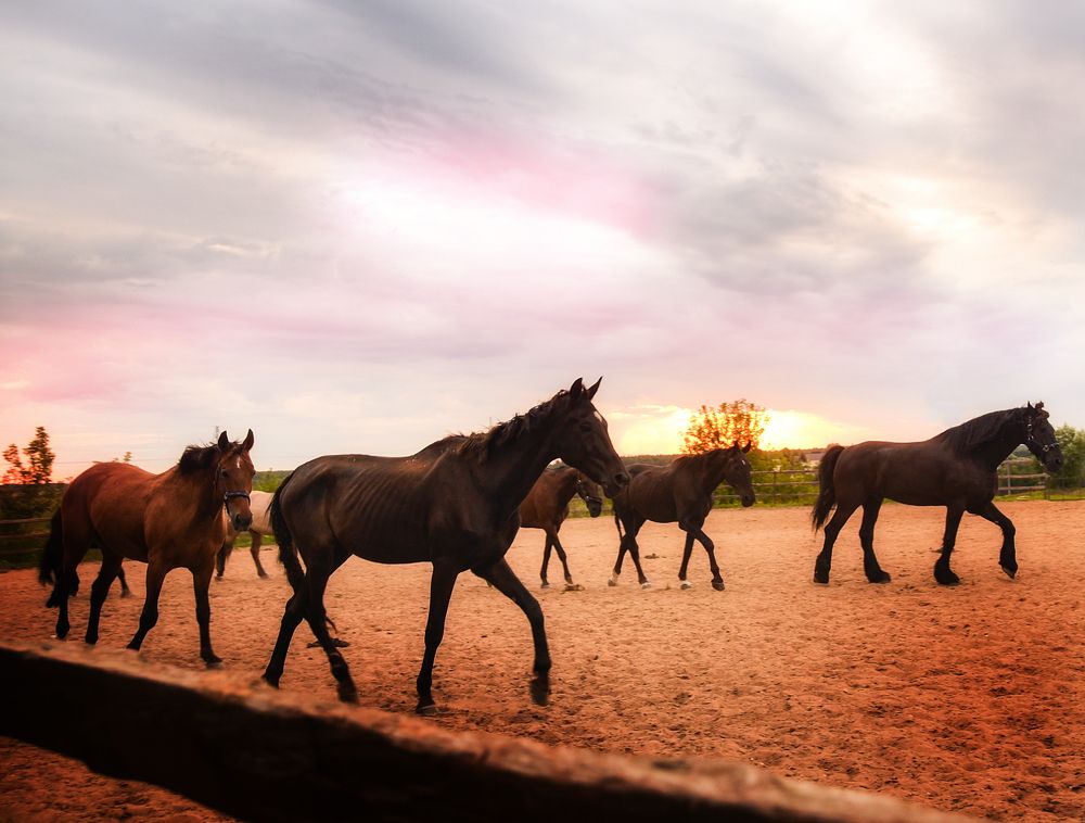 Photograph by Татьяна Кожина