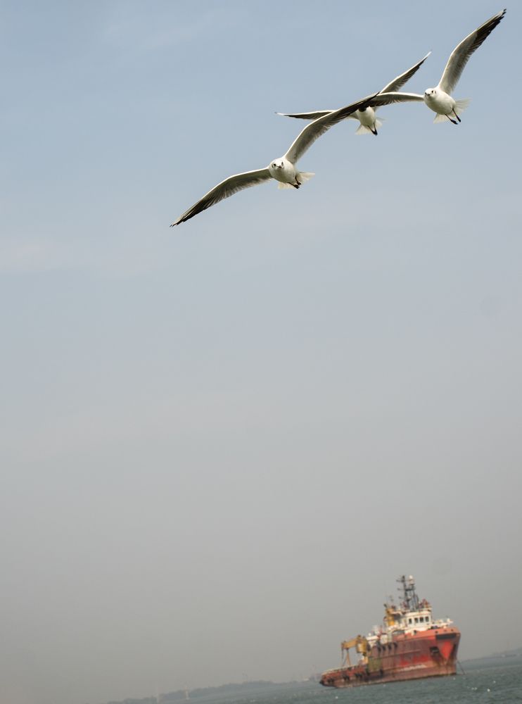 Photograph by Анатолий Румачик