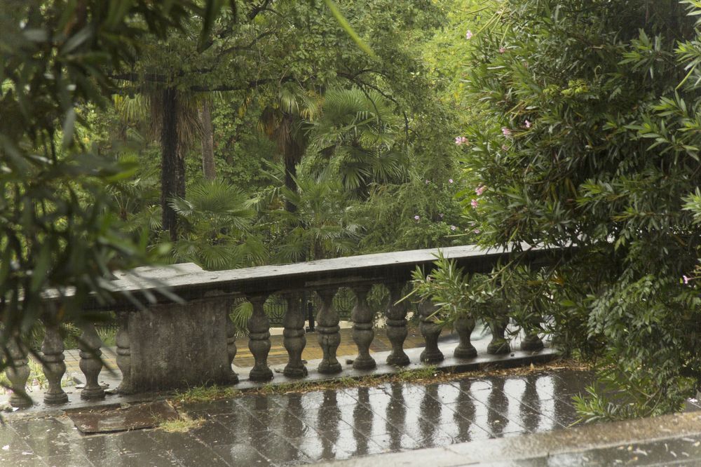 Photograph by Лайко Марина