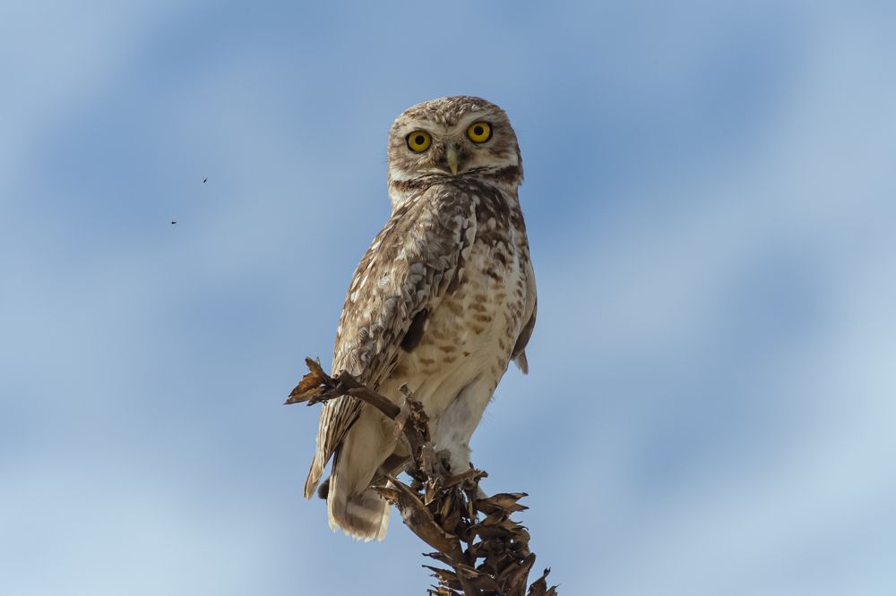 Photograph by Александр М.