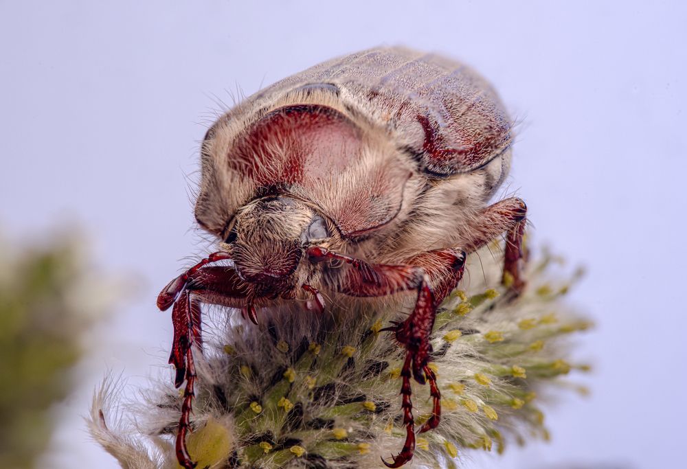 Photograph by Олег Кипкаев