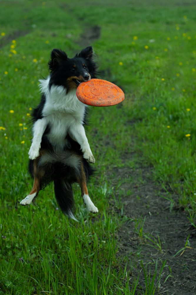 Photograph by Анастасия Слободская
