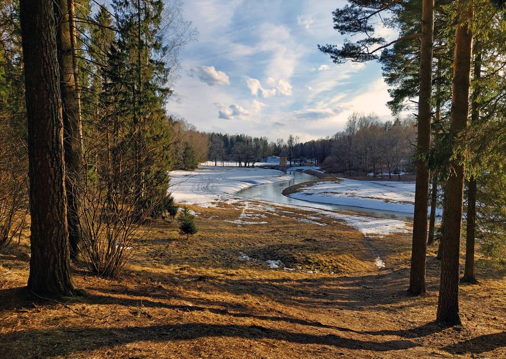 Photograph by Ирина Румянцева
