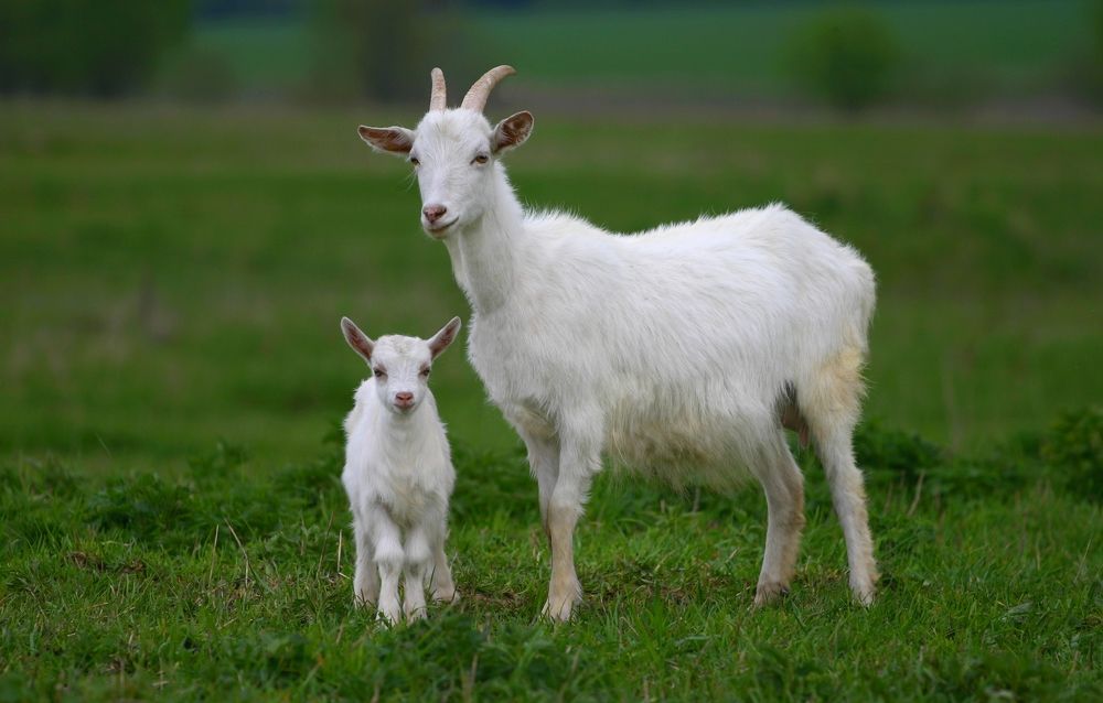 Photograph by Milla Luca