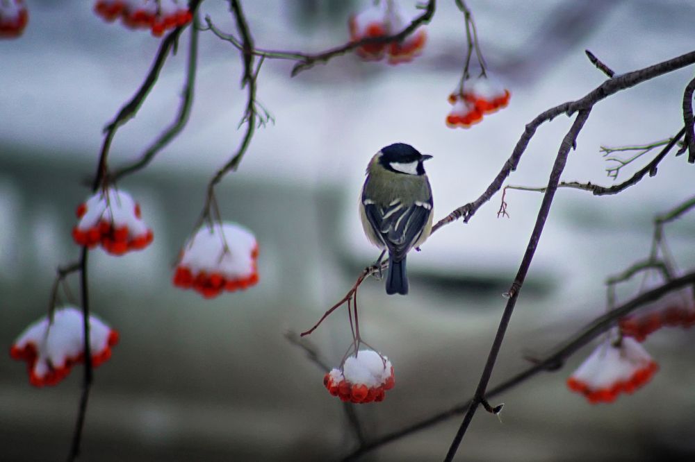 Photograph by Vitaliy Saposhnikov