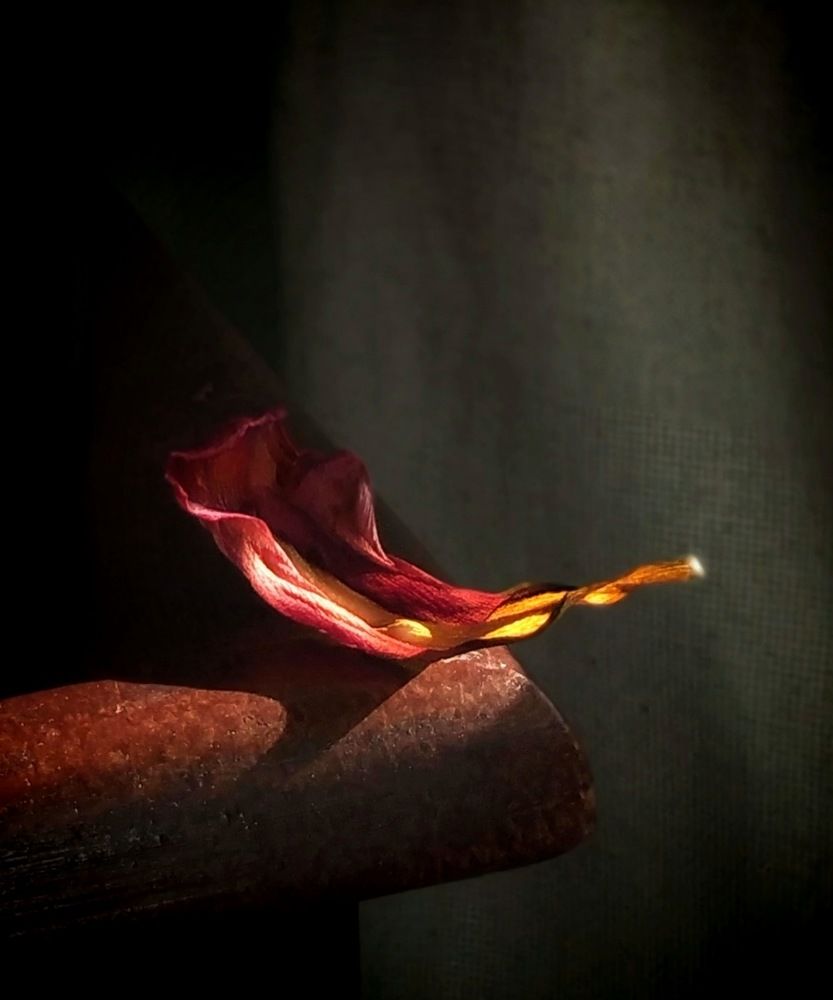 Равновесие