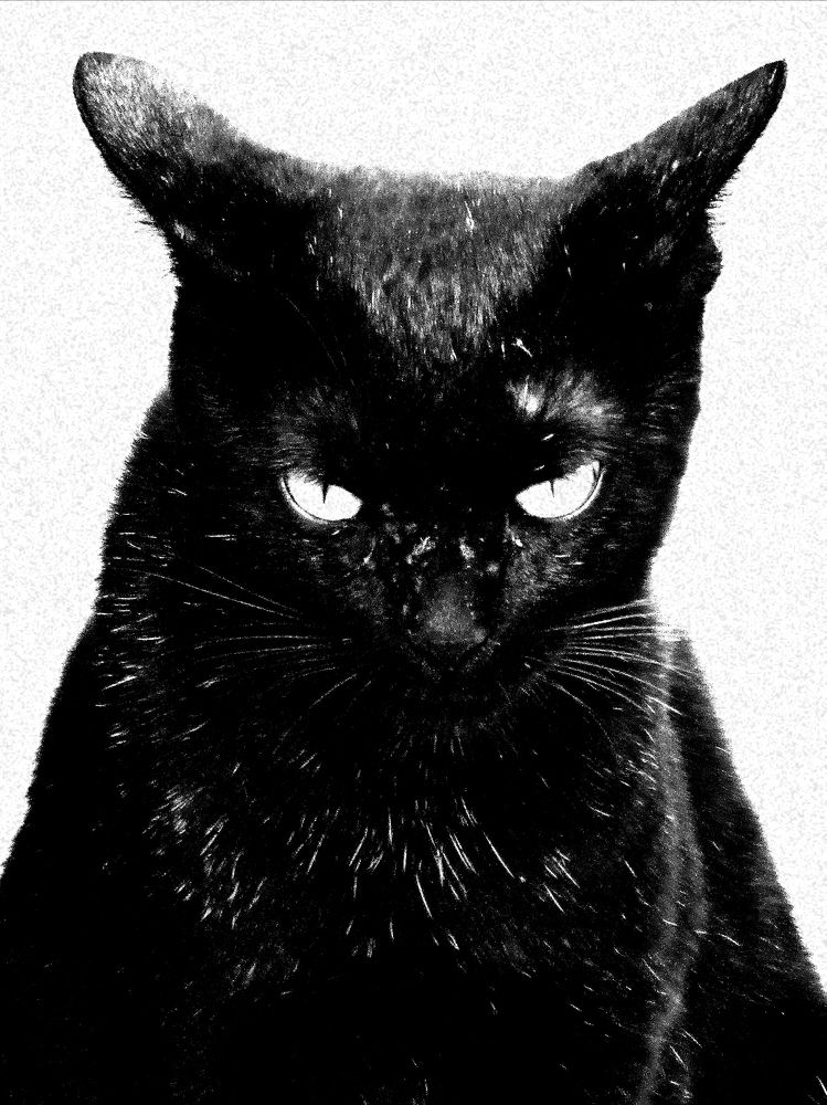 Photograph by MAHMOOD AKBAR