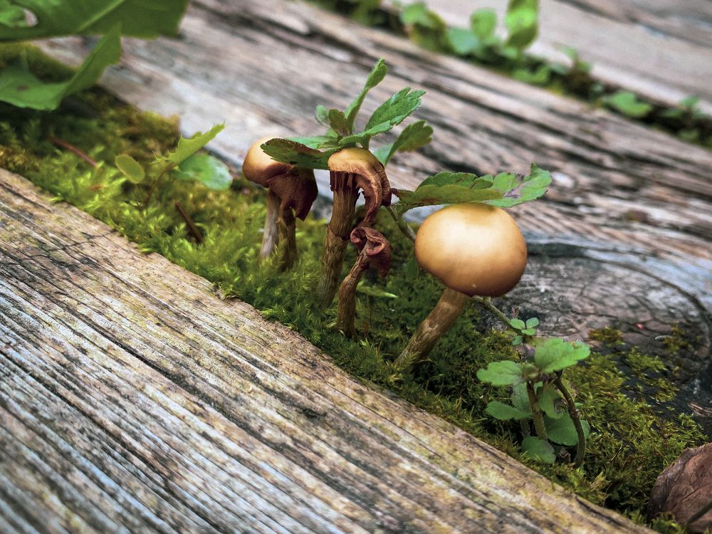 Photograph by Екатерина Меньшакова