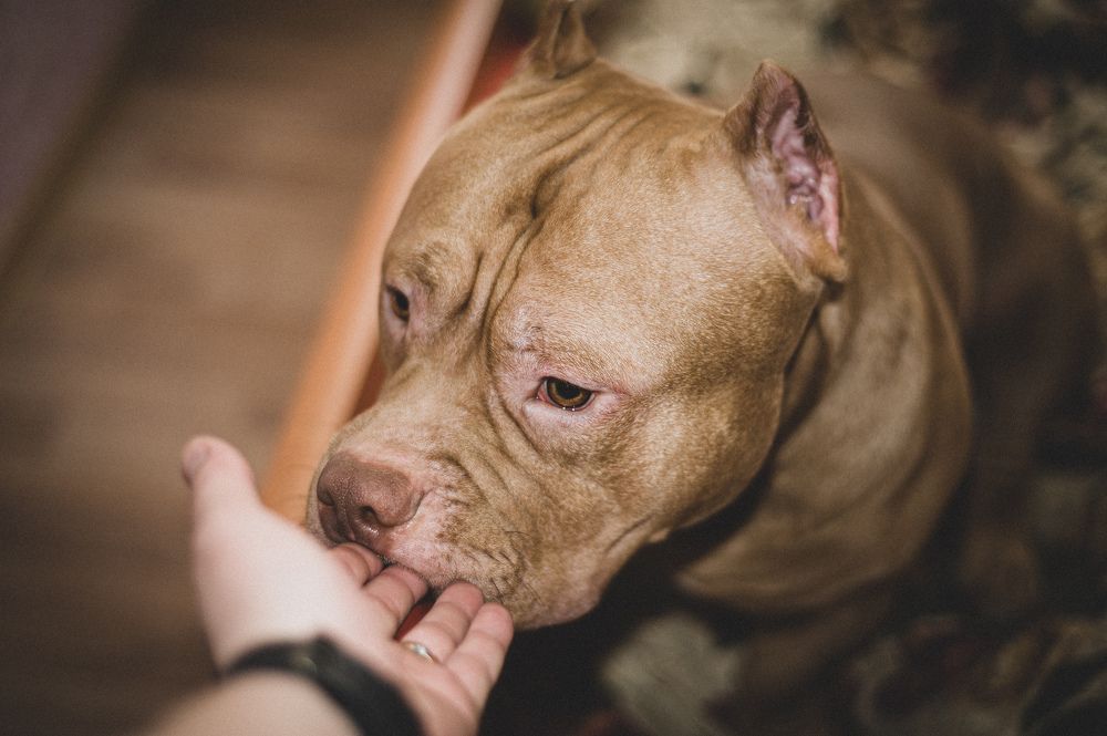 Photograph by Денис Кошиль