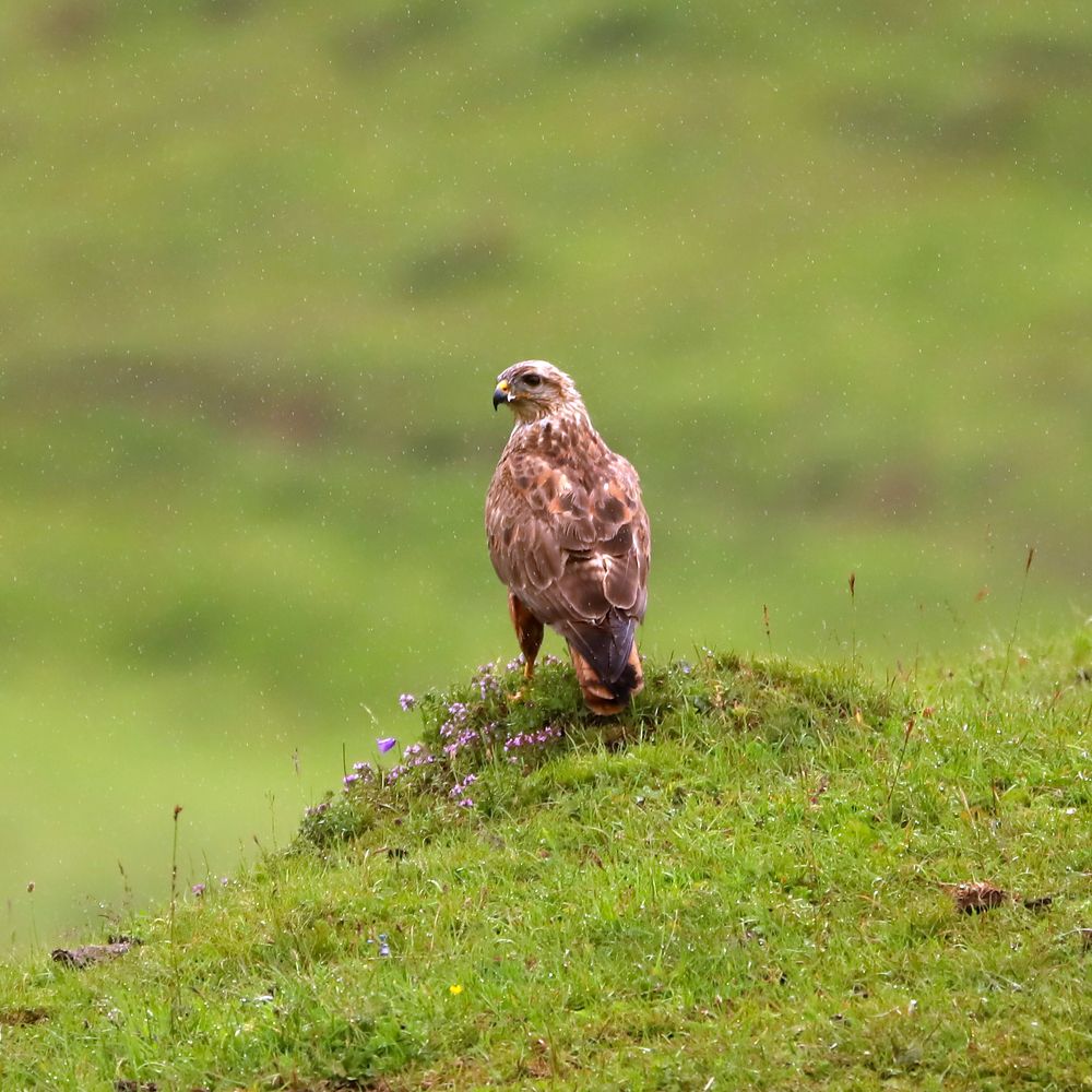 Photograph by Алексей