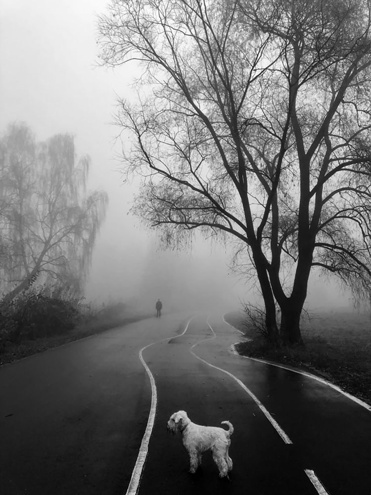 Photograph by Юлия Дудкова