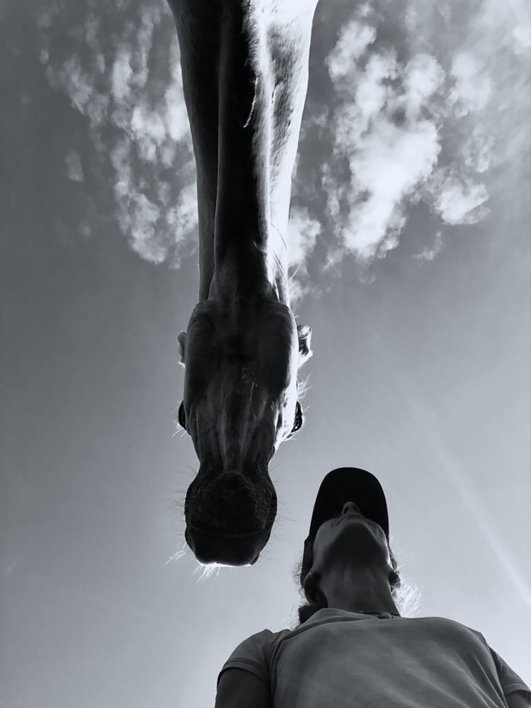 Photograph by Юлия Дудкова