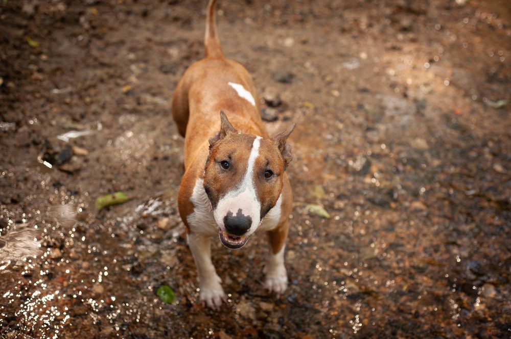 Photograph by Денис Кошиль