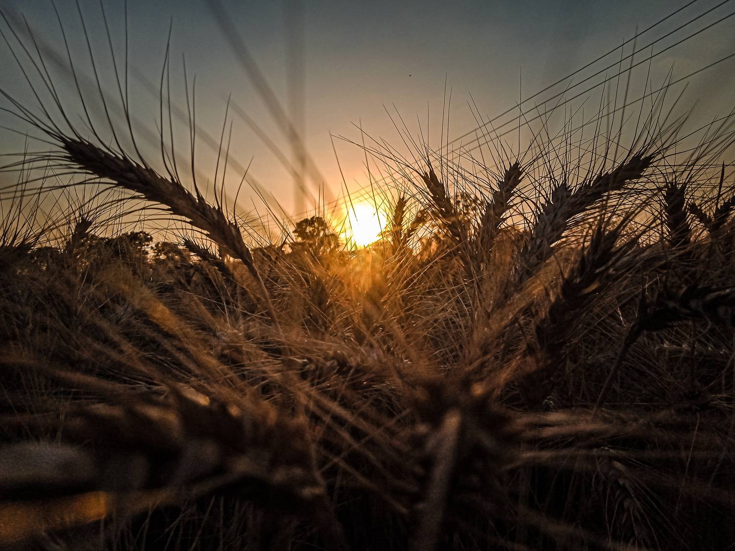 Mobile Photography