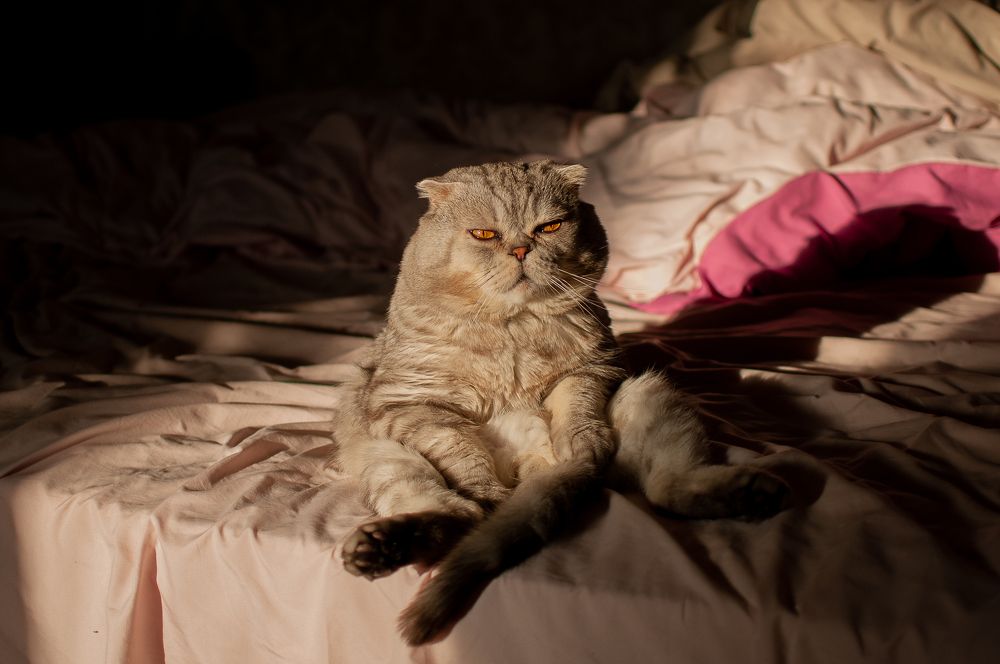 Photograph by Зубехина Татьяна