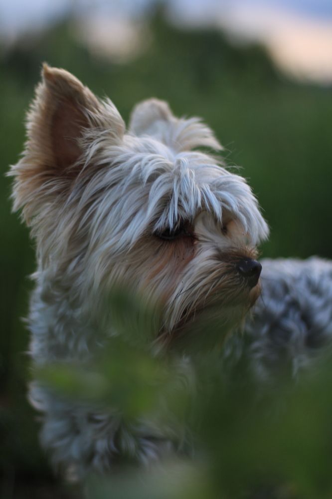 Photograph by Артем Деревенский