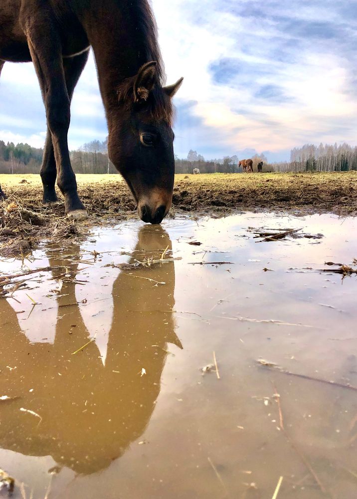 Photograph by Юлия Дудкова