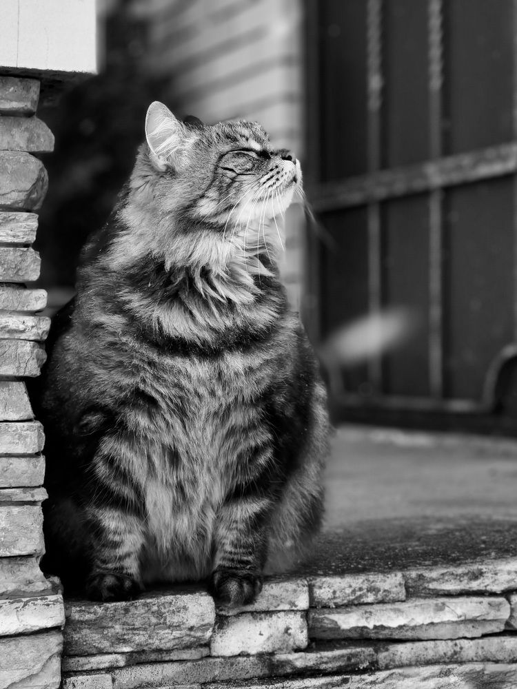 Photograph by Александр Максимов