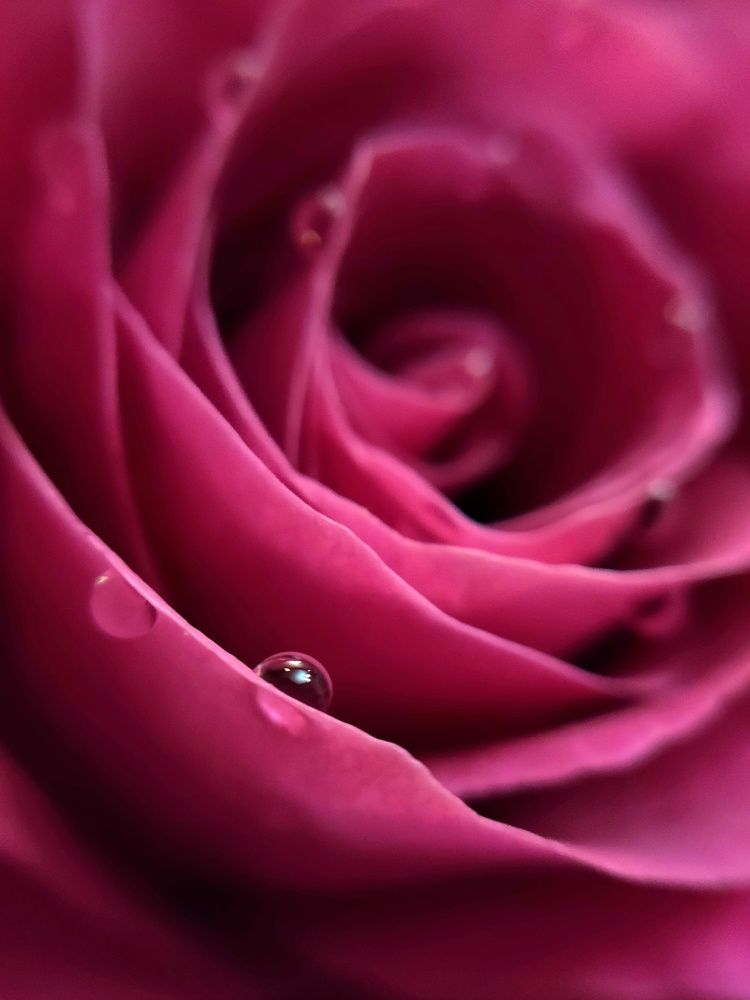 Photograph by Денис