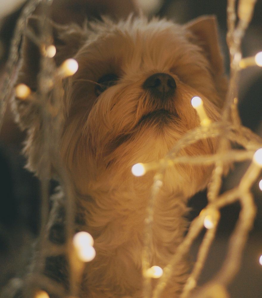 Photograph by Артем Деревенский