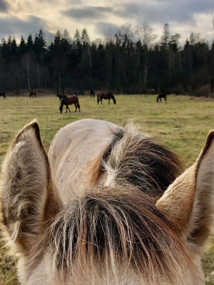 Photograph by Юлия Дудкова