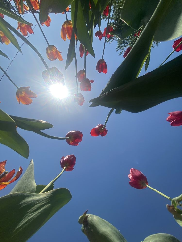 Photograph by Колоскова Юлия