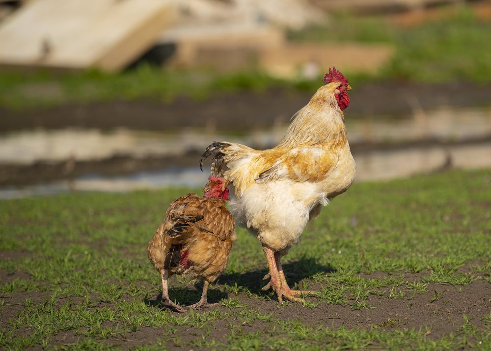 Фотография автора Ольга Коваленко