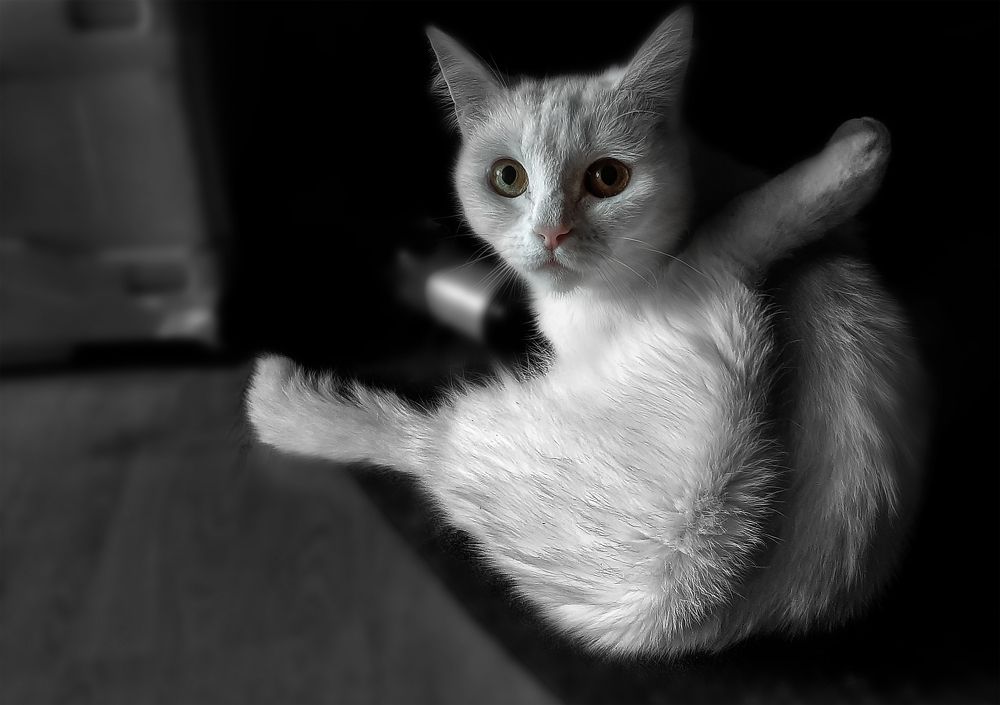 Фотография автора Дмитрий Нефёдов