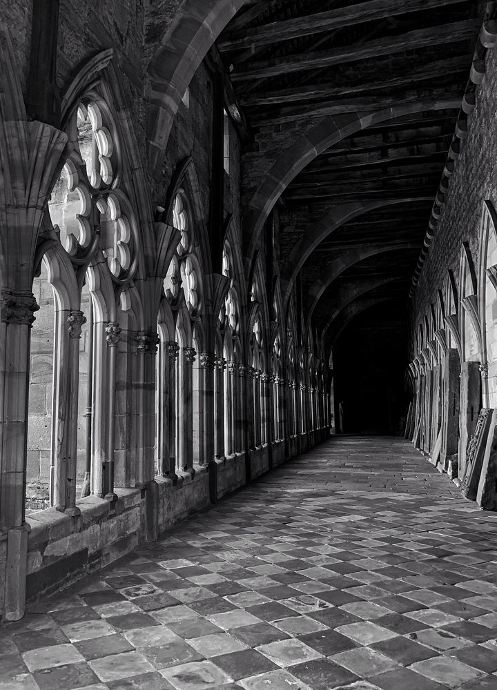 Photograph by Мария Дидковская