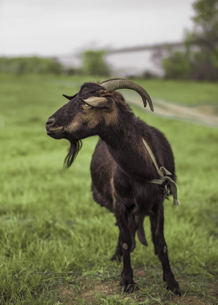 Фотография автора Ольга Коваленко