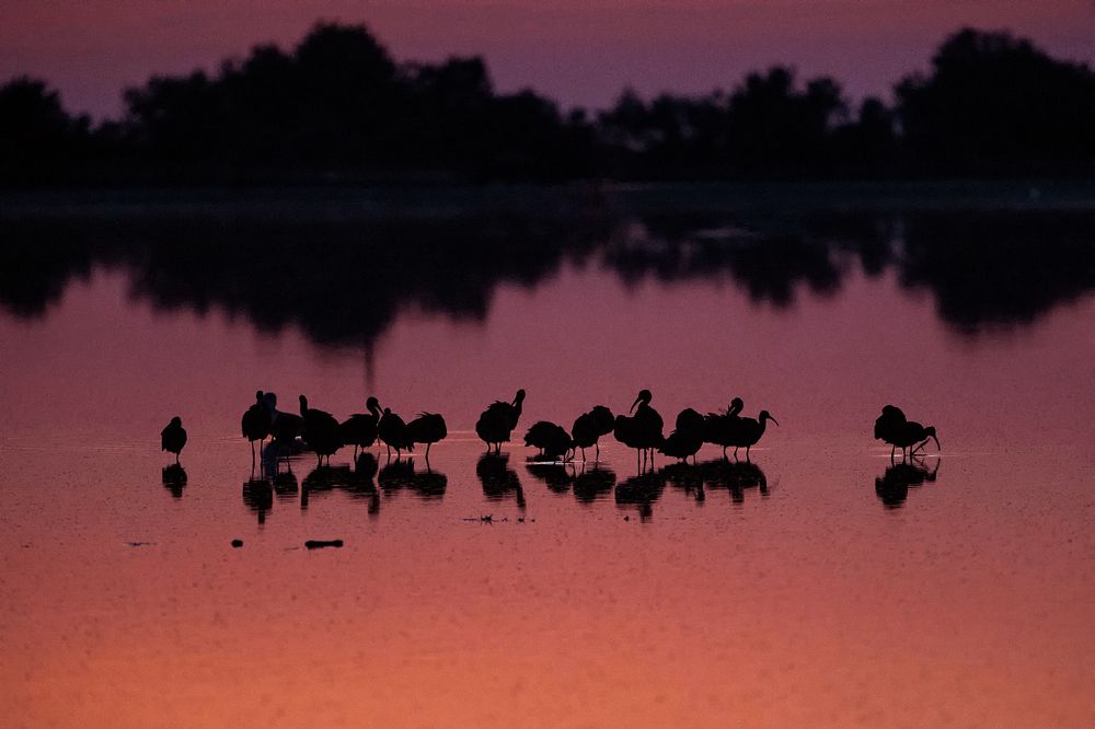 Photograph by Наталья Антипас