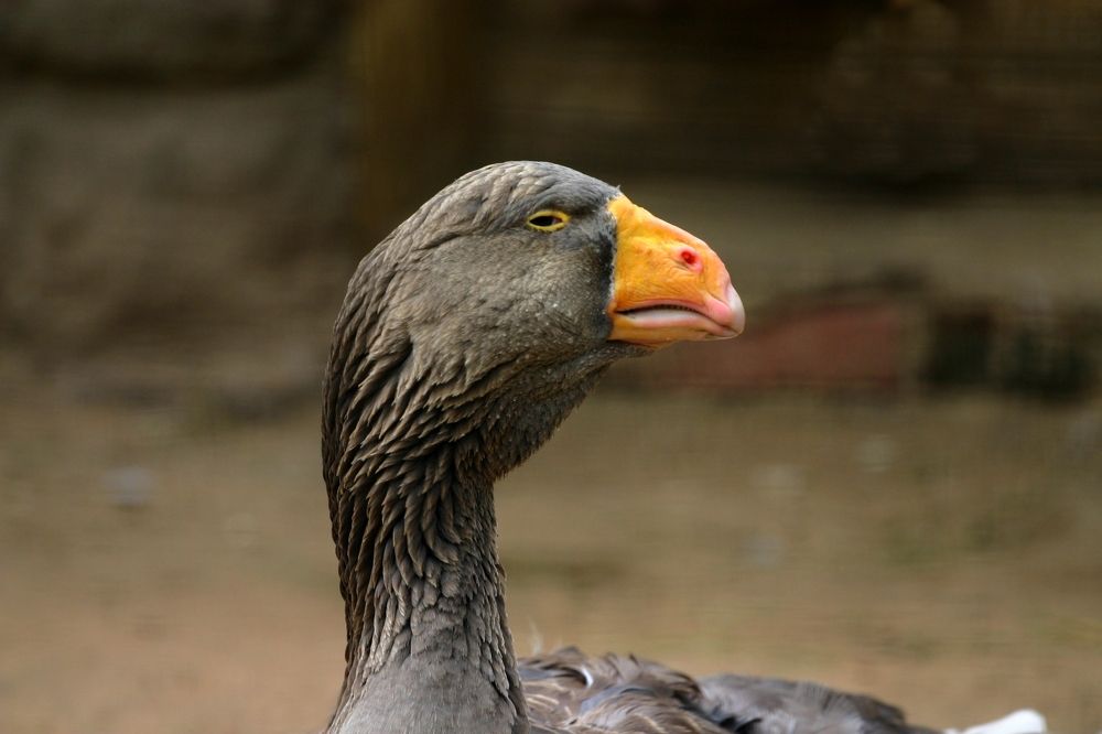 Photograph by Milla Luca