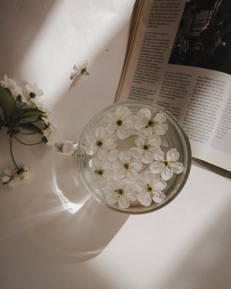 Photograph by Анна Чечетова