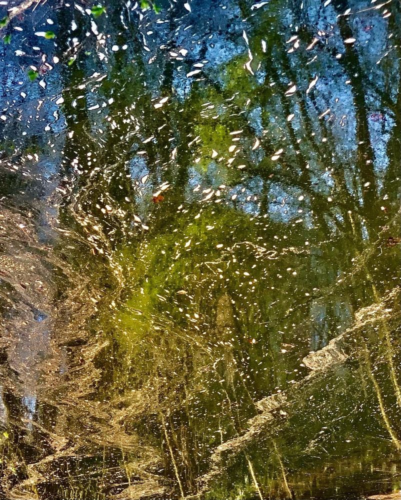 Photograph by Vasilisa