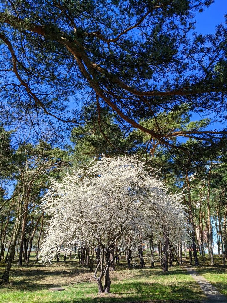 Photograph by Chinara Huseynova