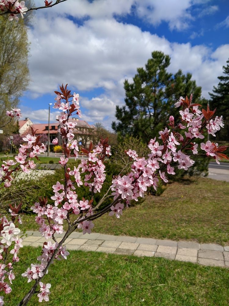 Photograph by Chinara Huseynova