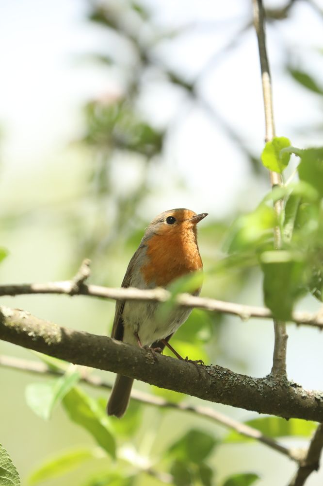 Photograph by Наталья Антипас