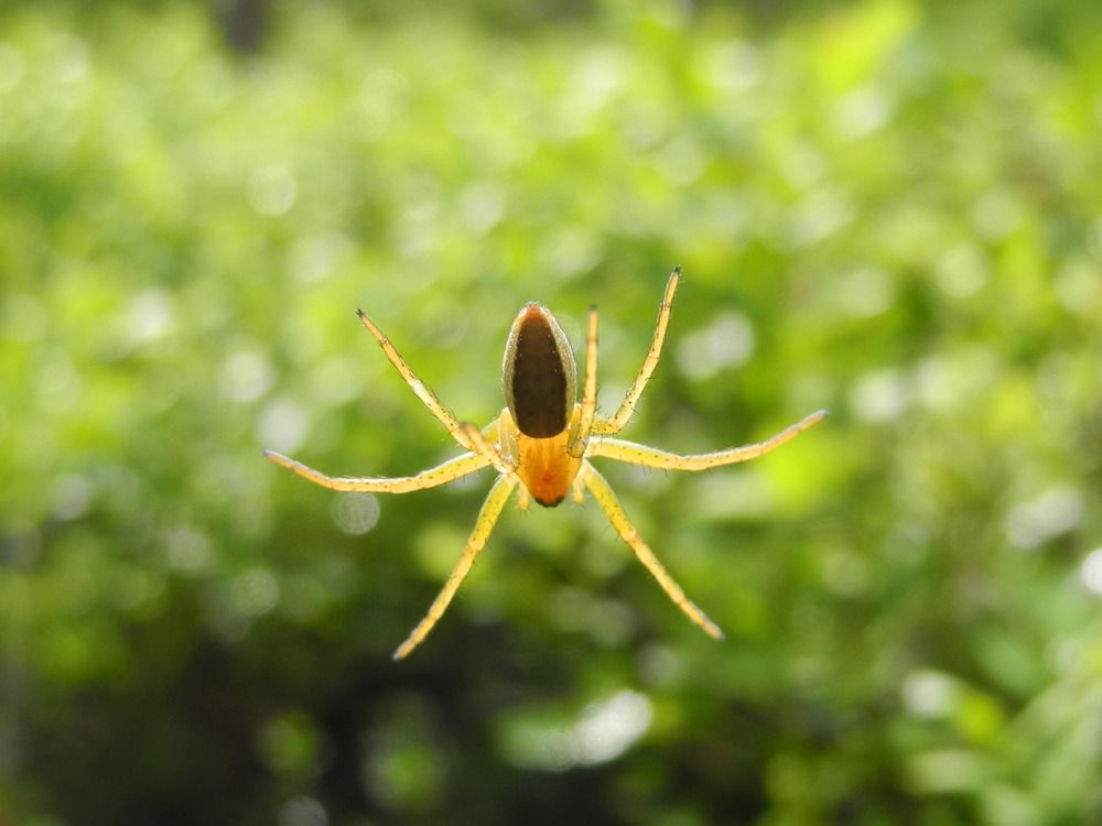 Photograph by Андрей Головин