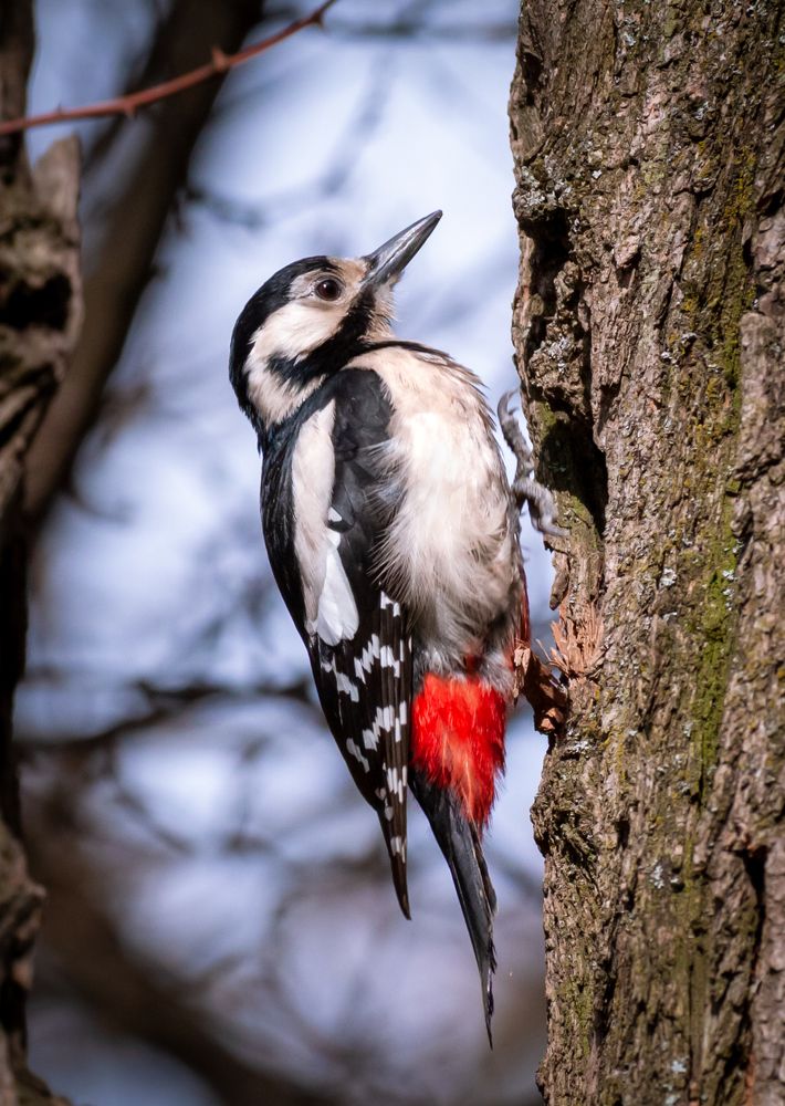 Photograph by Диана Бородзе