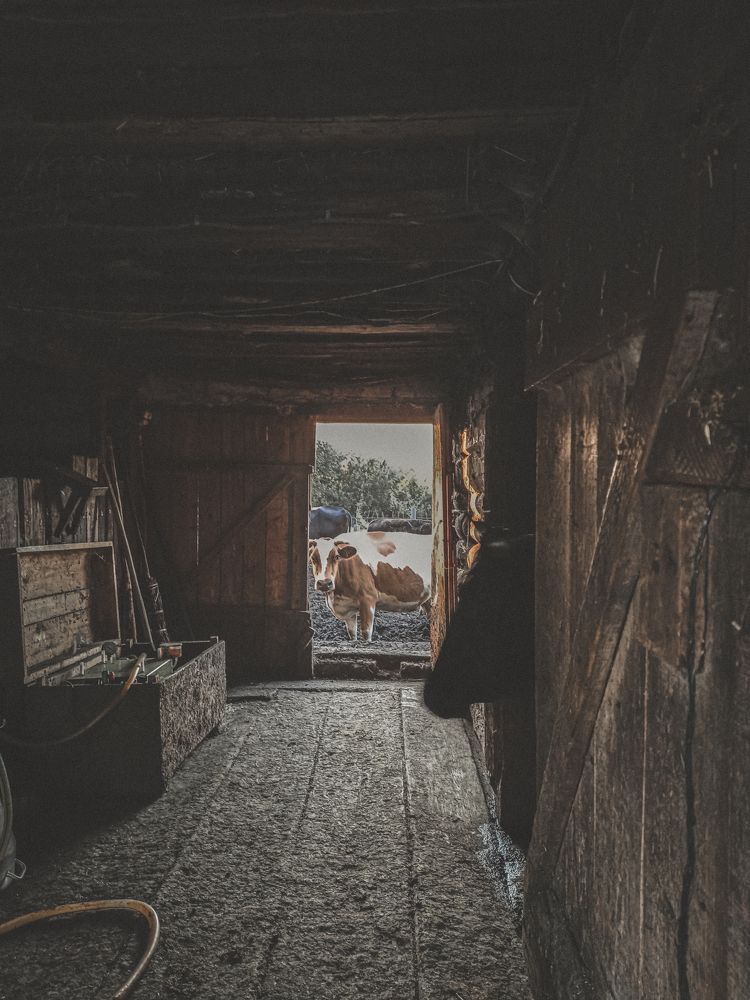 Photograph by Ильдус Шаруков